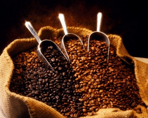 Lớp rang xay cà phê nâng cao (roasting-advanced) | Khóa đào tạo rang xay cà phê (roasting and grinding)